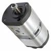 Double Pompe Hydraulique Bosch 0510565365 pour Case IH / Ihc 956 XL,1056 XL