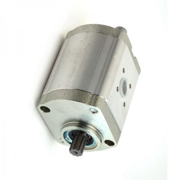 Pompe Hydraulique Bosch 0510525060 pour Fiat / New Holland 880 980 1180 1280 - #1 image