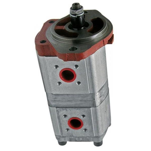 Joint torique tête hydraulique pompe à injection DPC:Lucas / Rotodiesel / Delphi #3 image