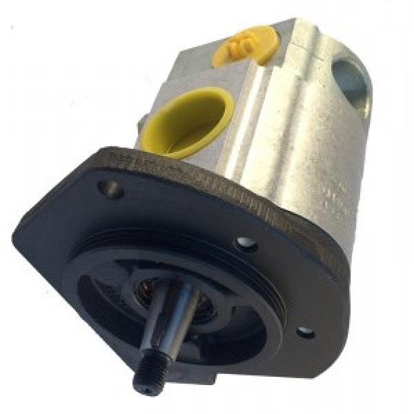 Pompe Hydraulique Bosch 0510425307 0510410303 pour Graine #2 image