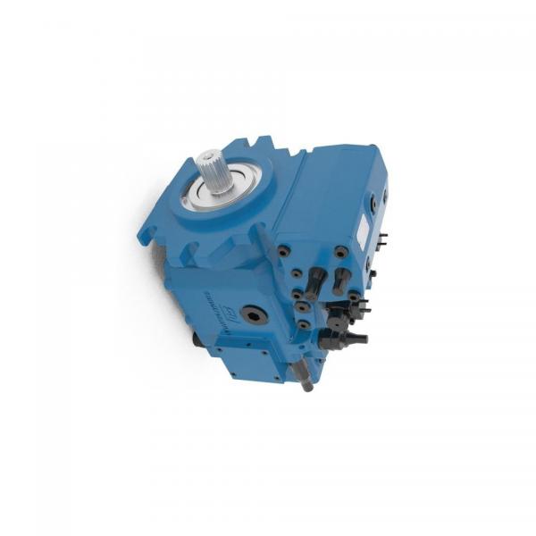 BOSCH REXROTH hydraulic axial piston fixed pump A17FO023/10NLWK0E81-0 R902162388 #2 image