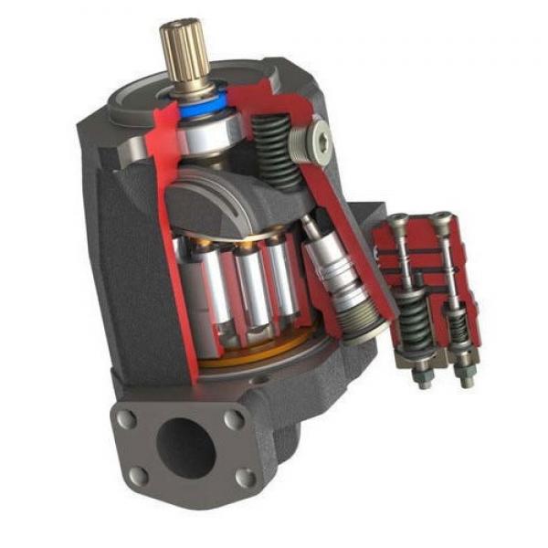 CITROEN XANTIA Diesel Td Pompe Hydraulique 6 + 2 pistons 4007F8 #2 image