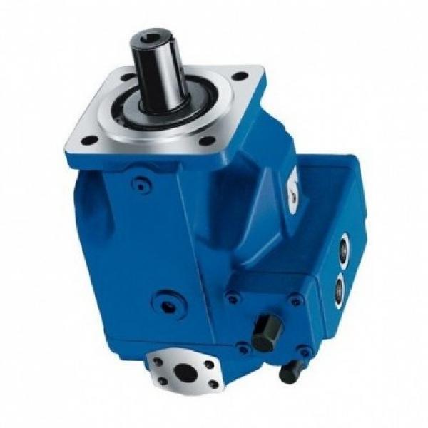 BOSCH REXROTH hydraulic axial piston fixed pump A17FO023/10NLWK0E81-0 R902162388 #3 image