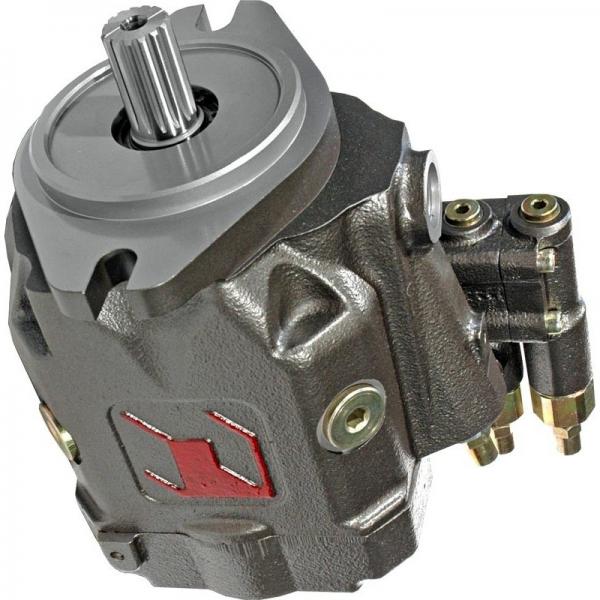 BOSCH REXROTH hydraulic axial piston fixed pump A17FO063/10NLWK0E81-0 R902162394 #3 image