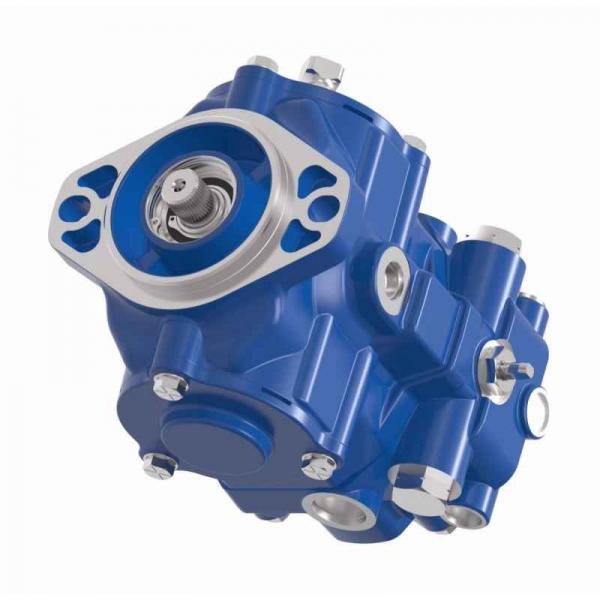 BOSCH REXROTH hydraulic axial piston fixed pump A17FO063/10NLWK0E81-0 R902162394 #2 image