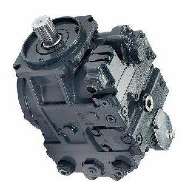 Unbranded Hydraulic Motor FFPMT Series #1 image